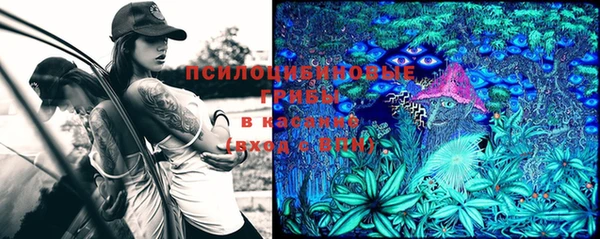 мет Шали