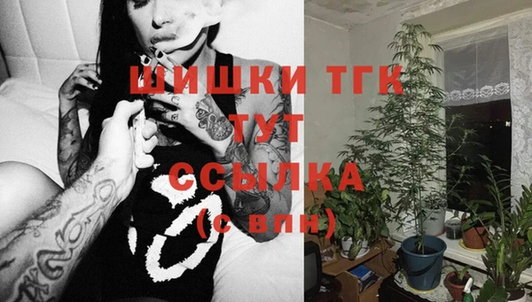 твердый Медвежьегорск