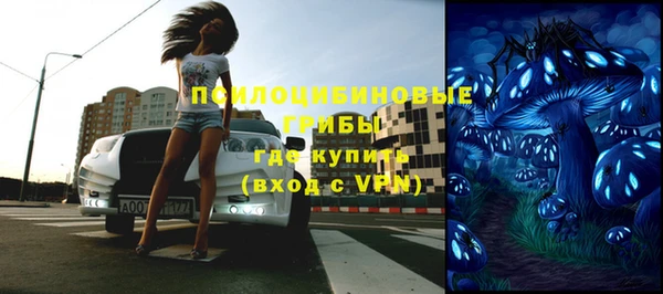 твердый Медвежьегорск