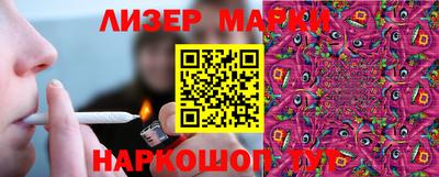 молекула духа Кингисепп