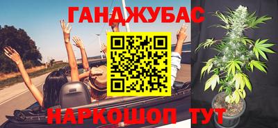 молекула духа Кингисепп
