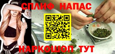 молекула духа Кингисепп