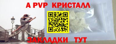 молекула духа Кингисепп