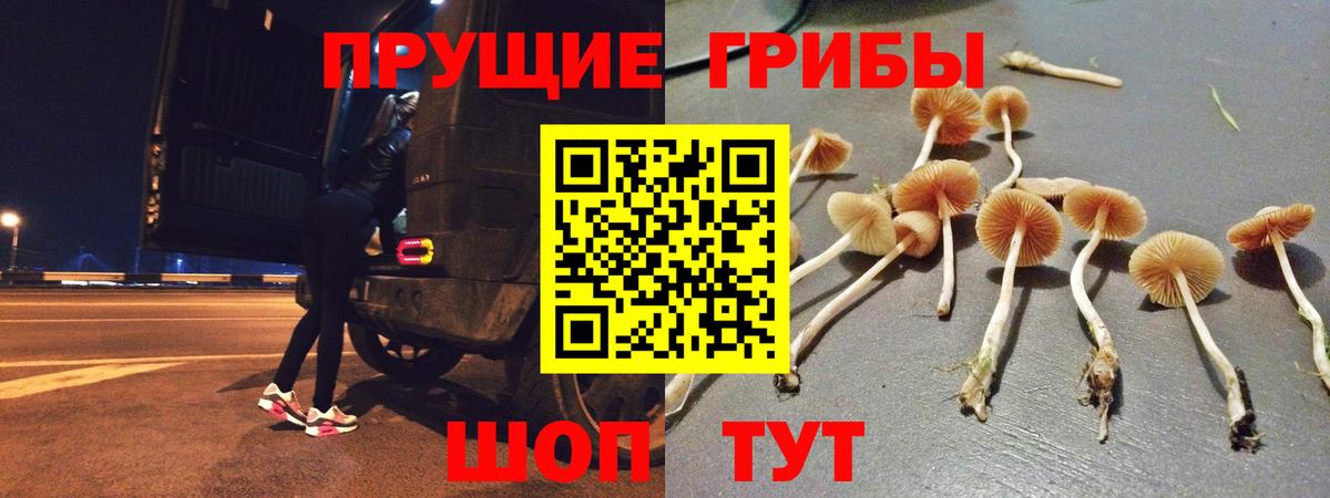 Чебаркуль  Галлюциногенные грибы MAGIC MUSHROOMS  продажа наркотиков  Вход с VPN 